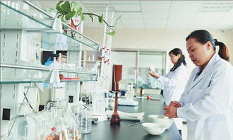 世界領先生物發(fā)酵木糖醇提取技術落戶依蘭