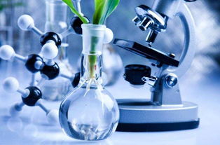 專業(yè)解讀 no.22 生物科學 探索生命的奧秘